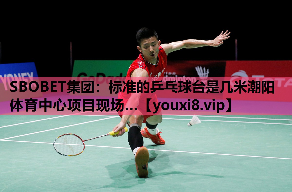 SBOBET集团：标准的乒乓球台是几米潮阳体育中心项目现场…