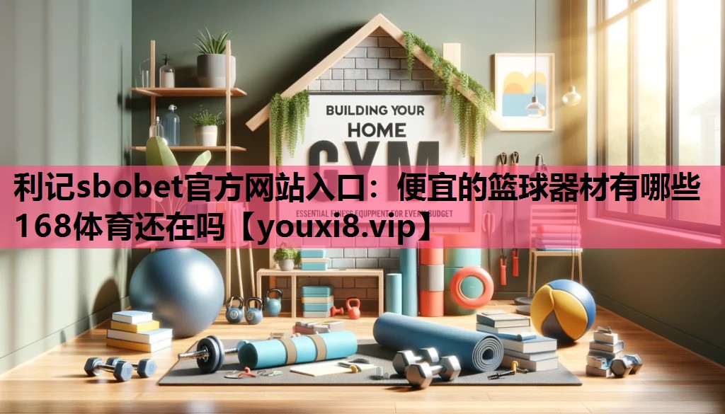 利记sbobet官方网站入口：便宜的篮球器材有哪些168体育还在吗
